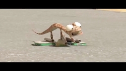 اسکار | فصل یک قسمت هفت